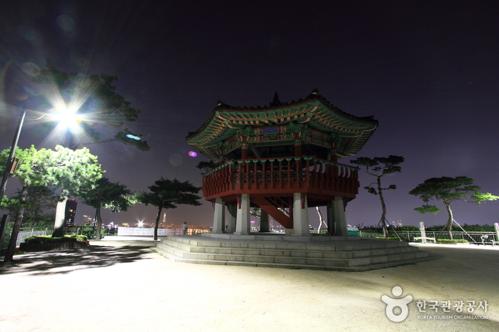 Seoul Forest & Eungbongsan Park Tour