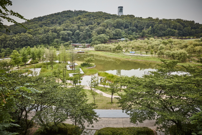 Bukseoul Dream Forest & Seoul Children’s Grand Park Tour