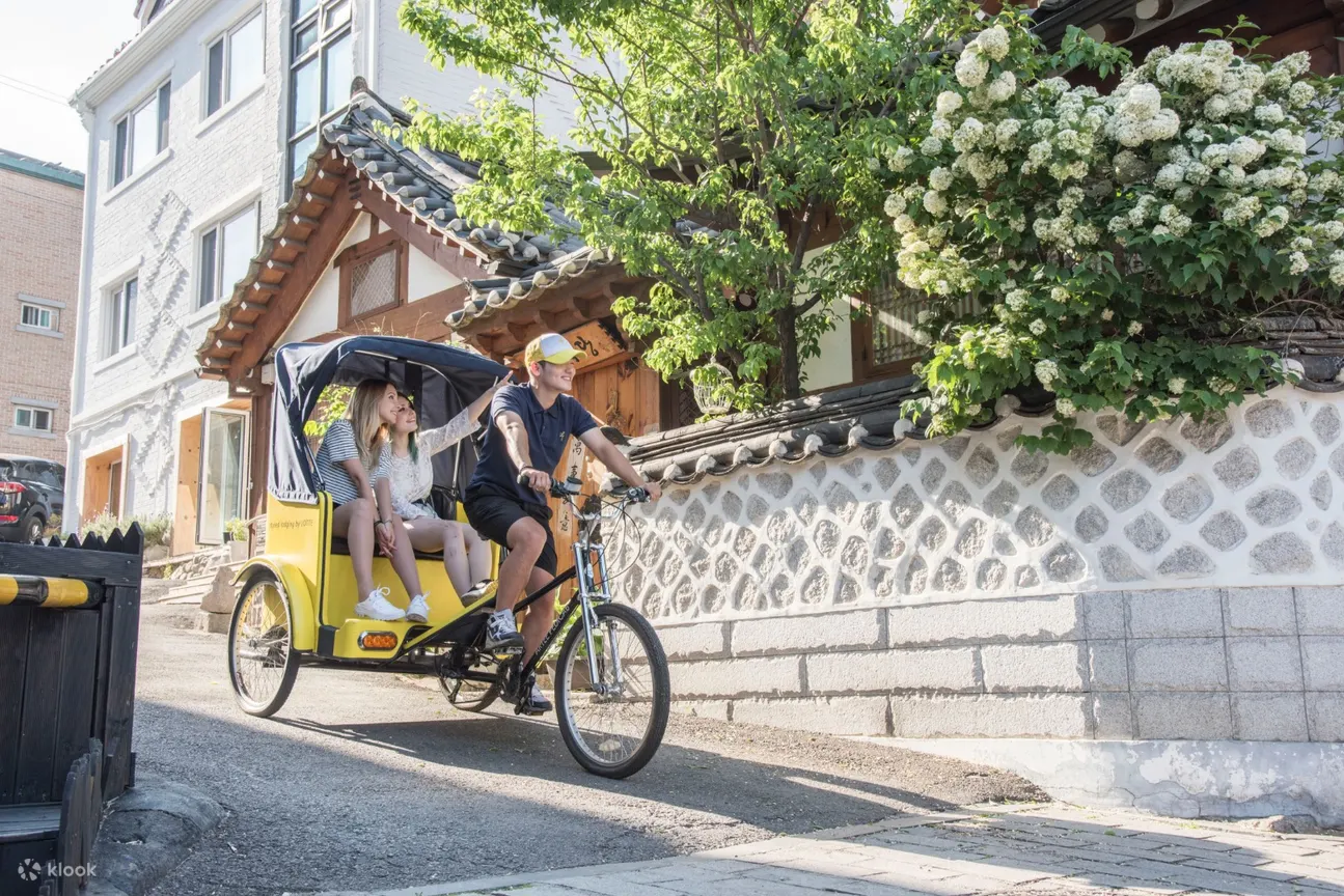 Seoul Pedicab Ride Tour